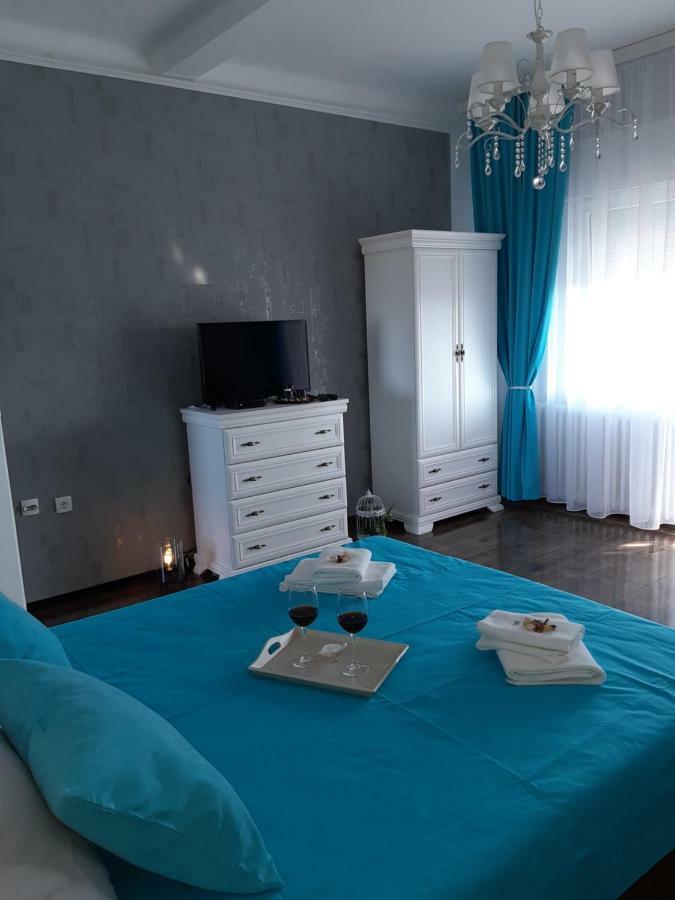 Apartment Zorana-Center Nowy Sad Zewnętrze zdjęcie